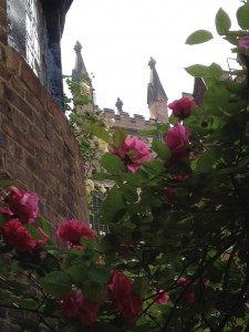Garden at The Church of the Ascension