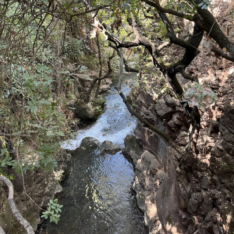 photo of a stream